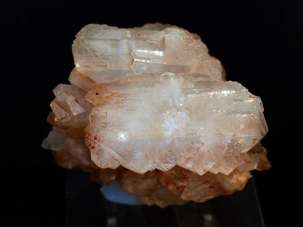 Celestina
8 x 6 cm
(Autor: Pedro Antonio)