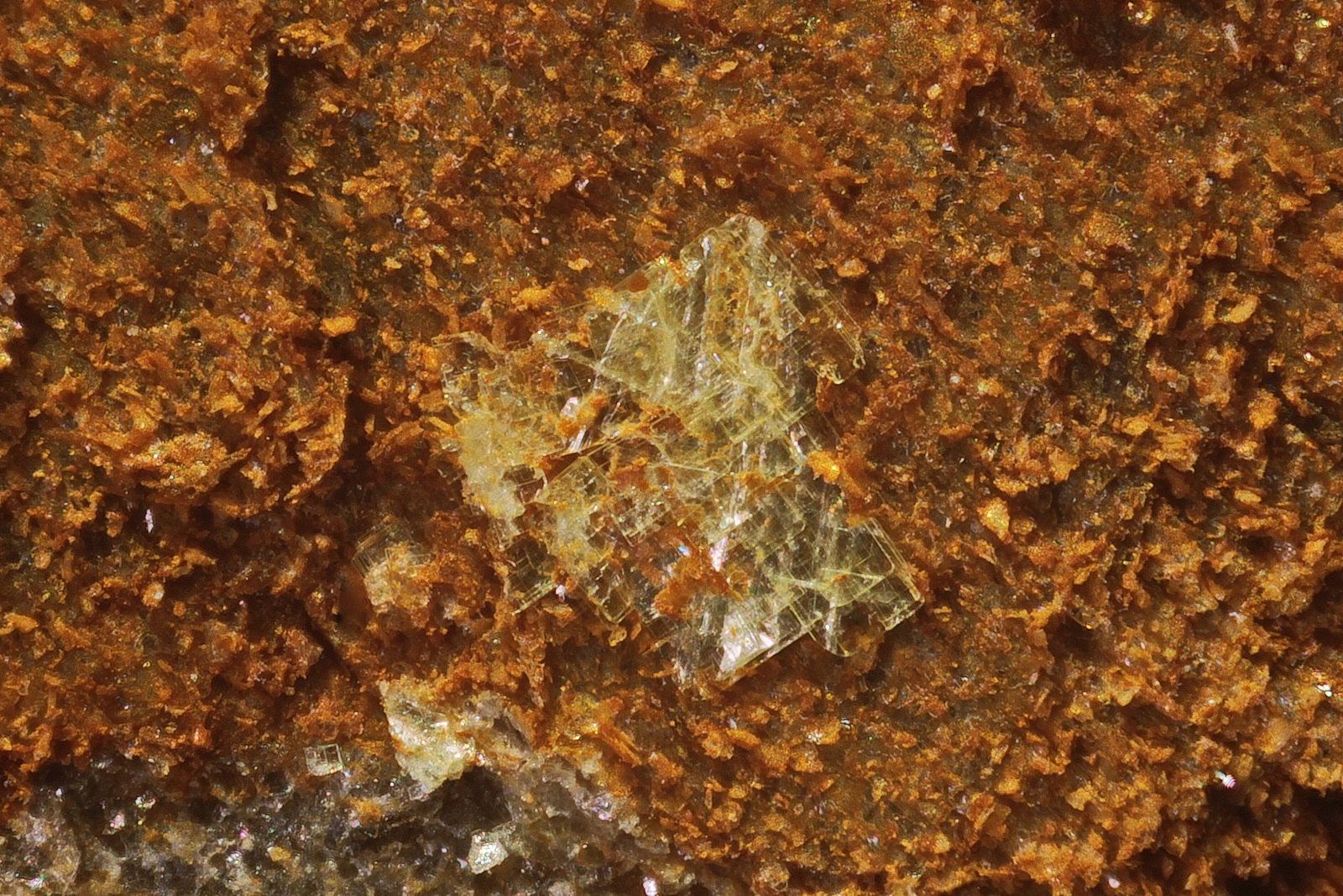 Autunita
Todo el grupo 1.3mm
(Autor: Jorgina-Agusti-Màrius)