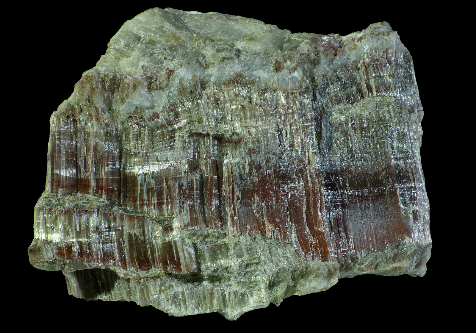 Crisotilo
4,5 x 3,5 x 2,5 cm
(Autor: Javier Rodriguez)