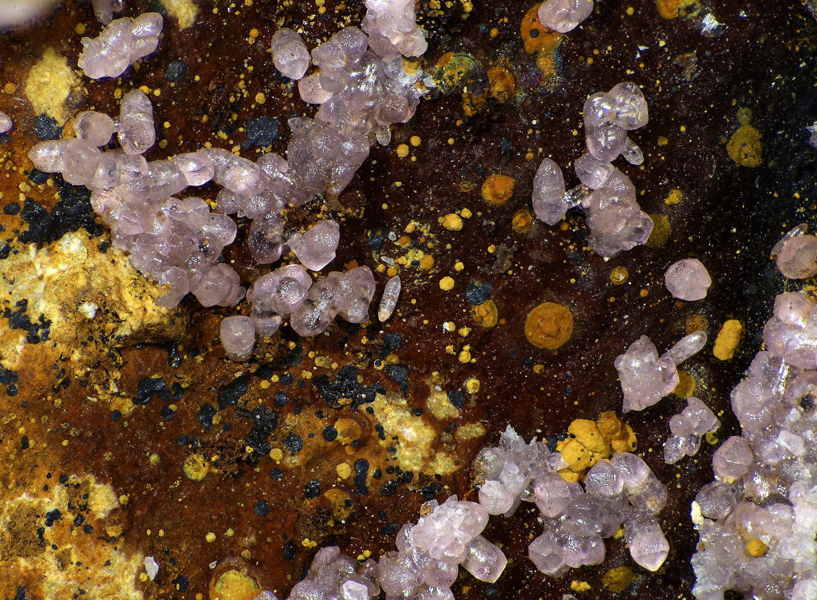 Smithsonita
c.v. 5 mm
(Autor: Javier Rodriguez)