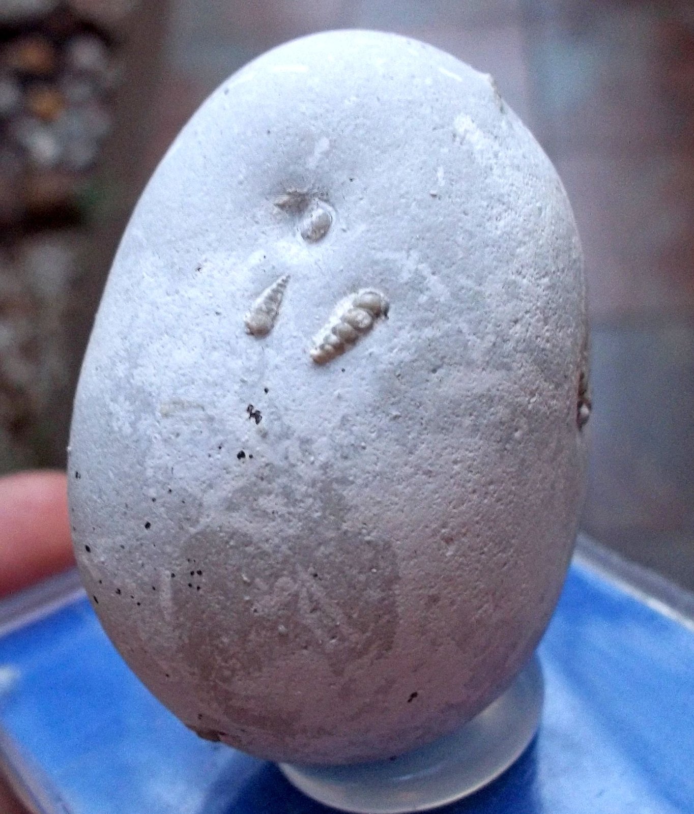 Ópalo
3,5 x 3 cm.
(Autor: Cristalino)