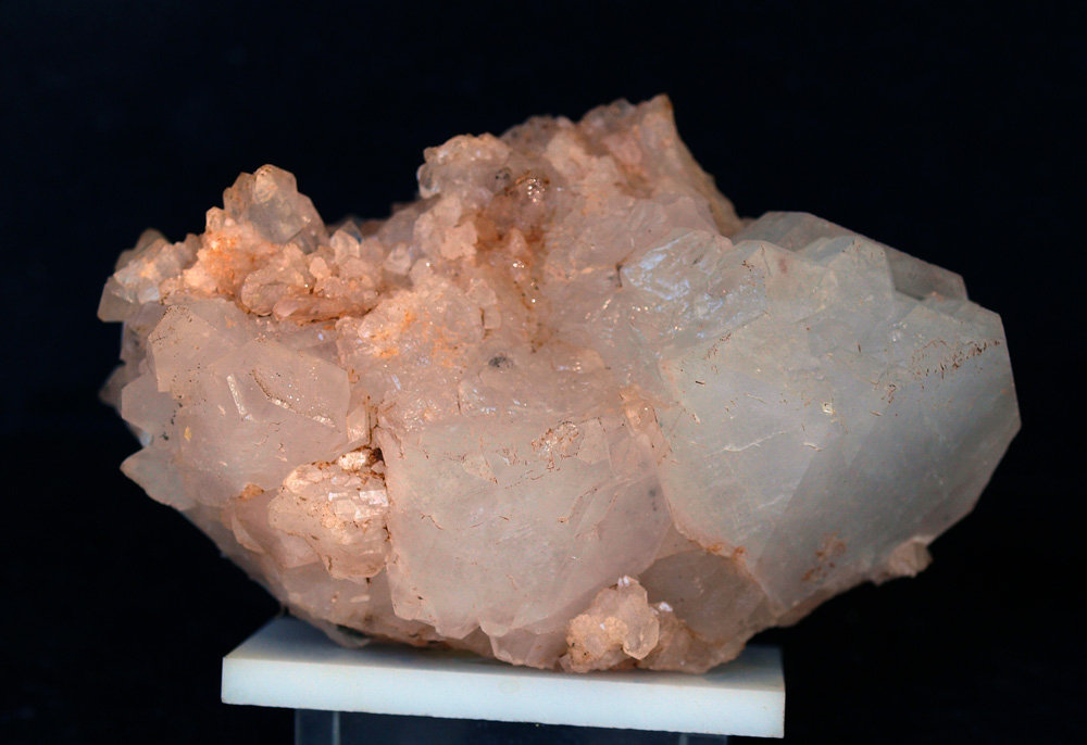 Celestina
8.5 x 6 cm
(Autor: Pedro Antonio)