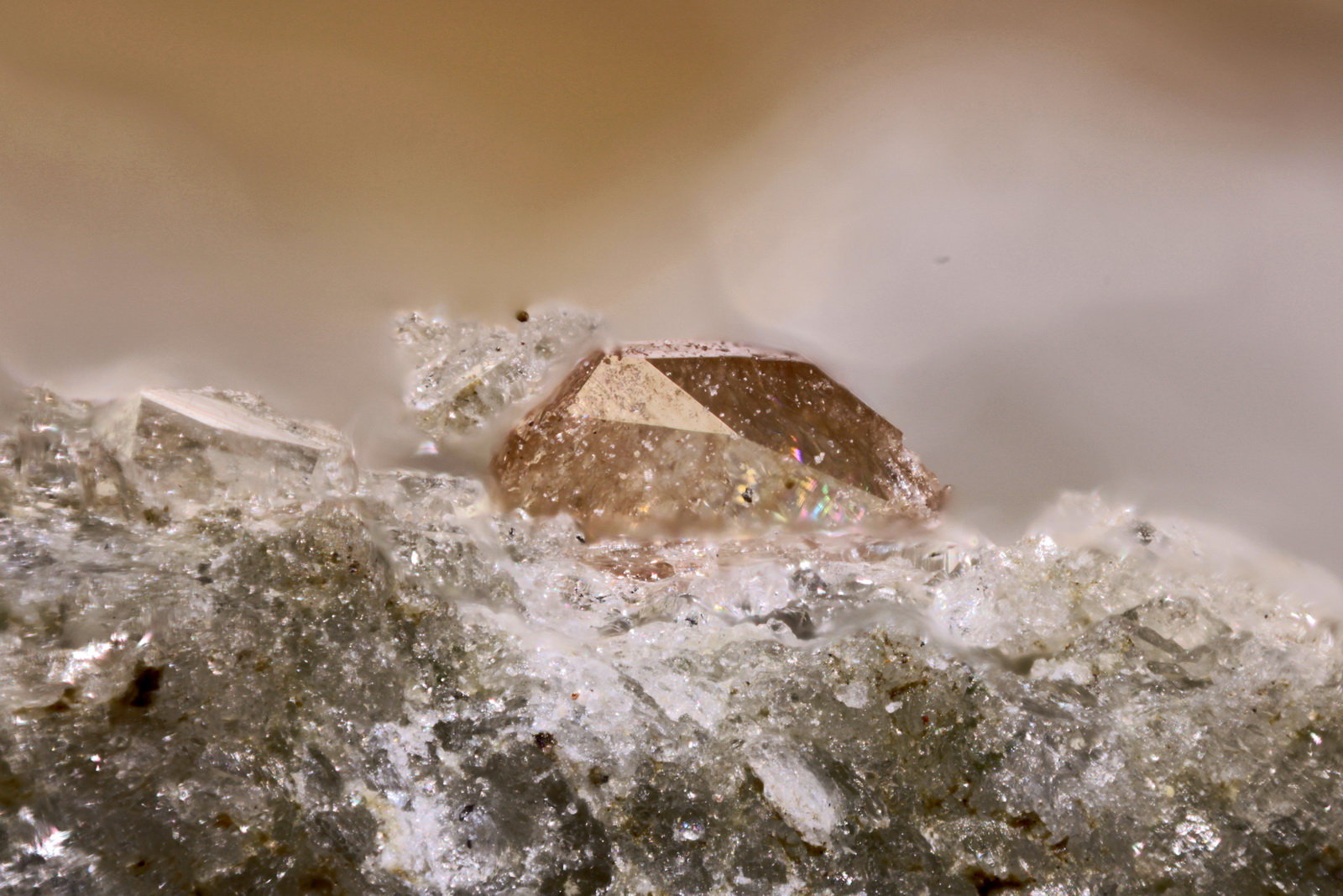 Titanita
Cristal 1,2 mm
(Autor: Jorgina-Agusti-Màrius)