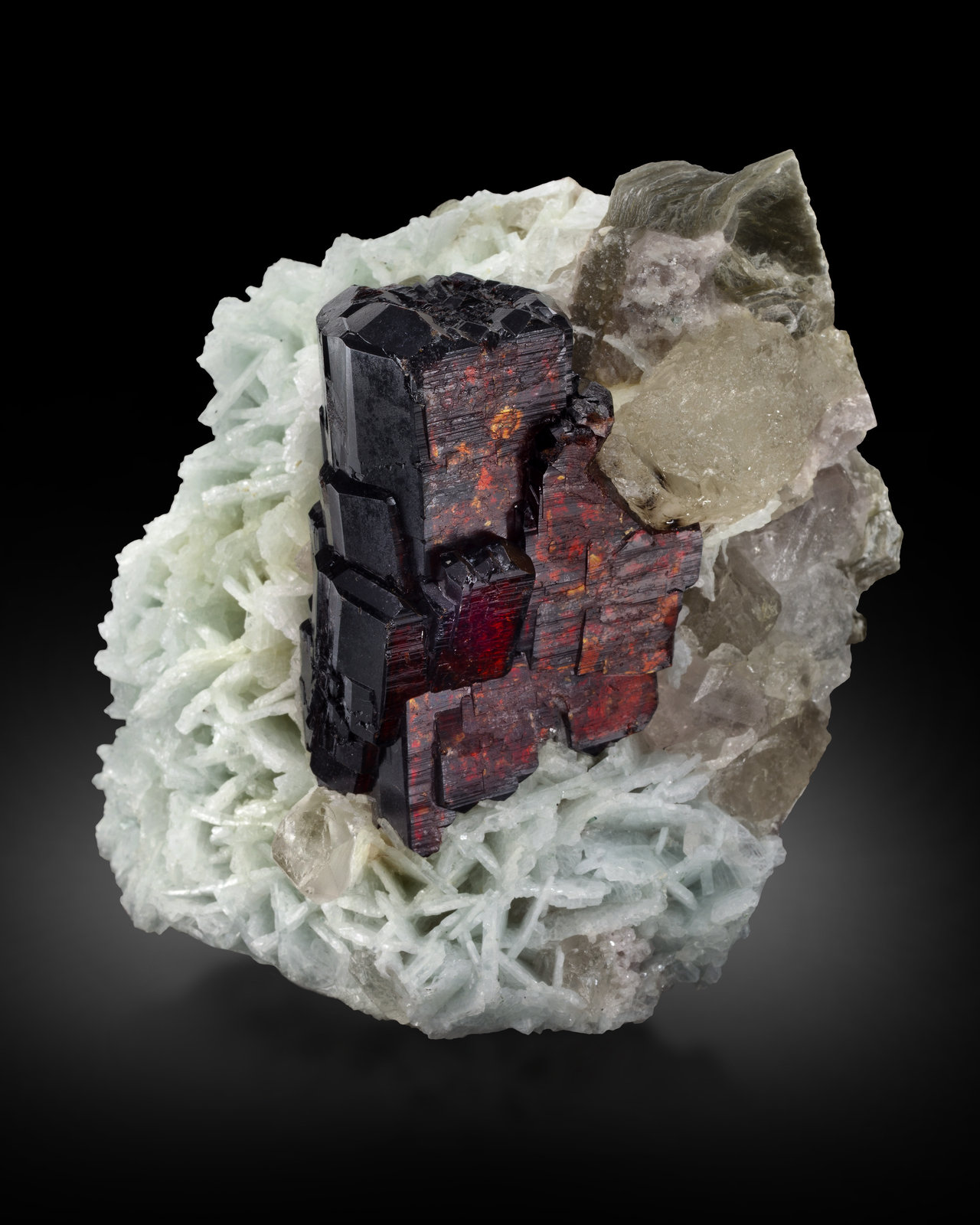 Tantalita-(Mn) con Albita y Moscovita
8,5 x 9 x 10,5 cm
(Autor: Museo MIM)