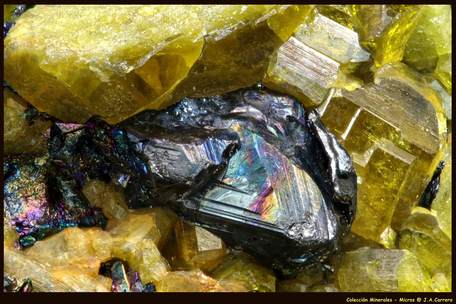 Magnetita
FoV: 4 x 3 mm
(Autor: Jose Angel Carrero)