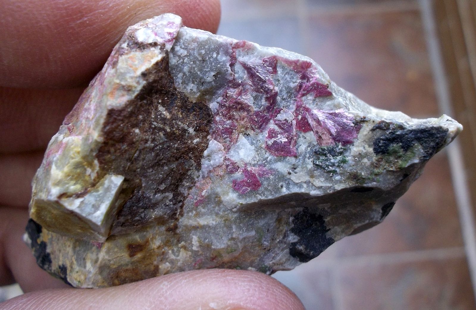Eritrina
4 x 3 cm
(Autor: Cristalino)