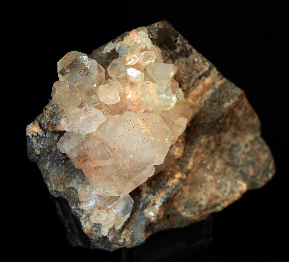 Celestina
10 x 8 cm
(Autor: Pedro Antonio)