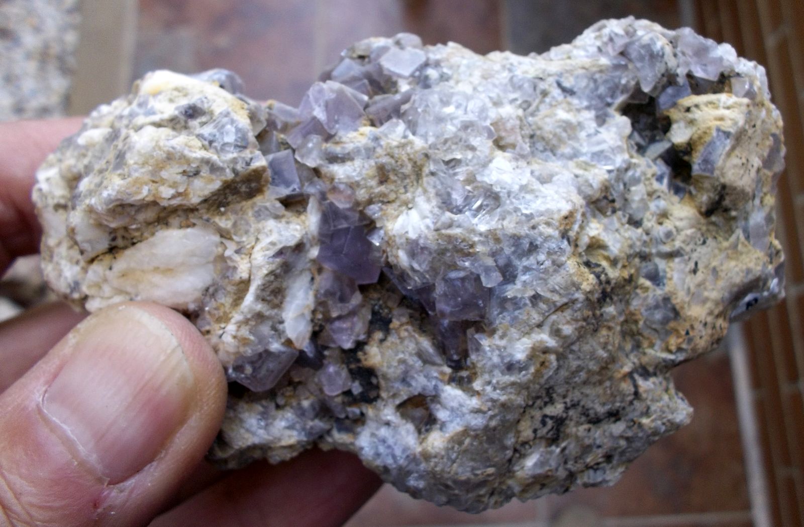 Fluorita
8 x 6 cm
(Autor: Cristalino)
