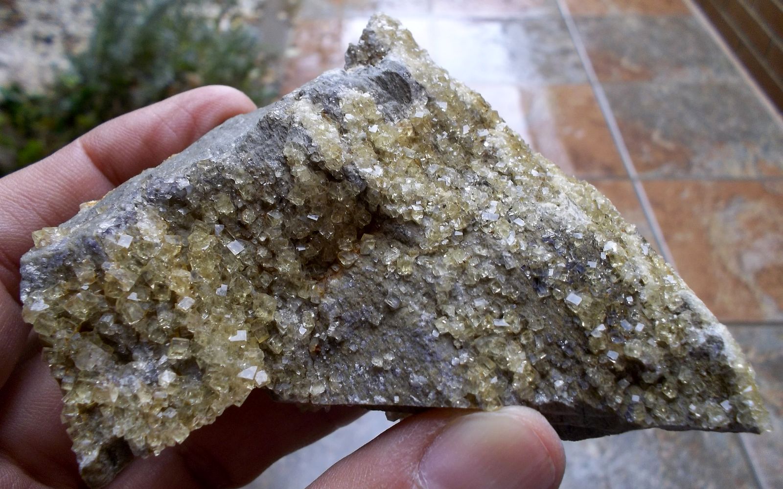 Fluorita
8 x 6 cm
(Autor: Cristalino)