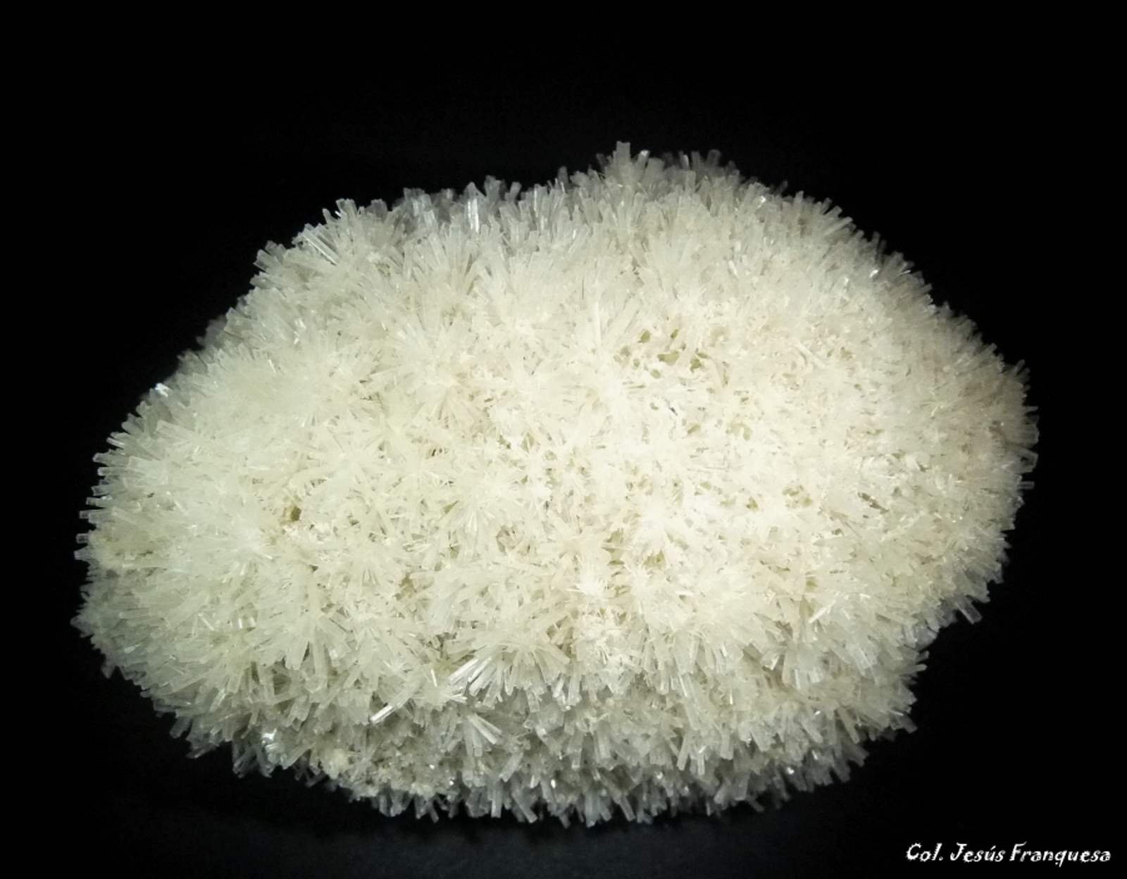 Yeso
100x80 mm.
(Autor: Jesus Franquesa Baucells)