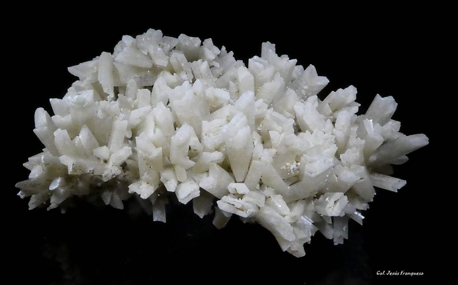 Yeso.
80x50 mm.
(Autor: Jesus Franquesa Baucells)