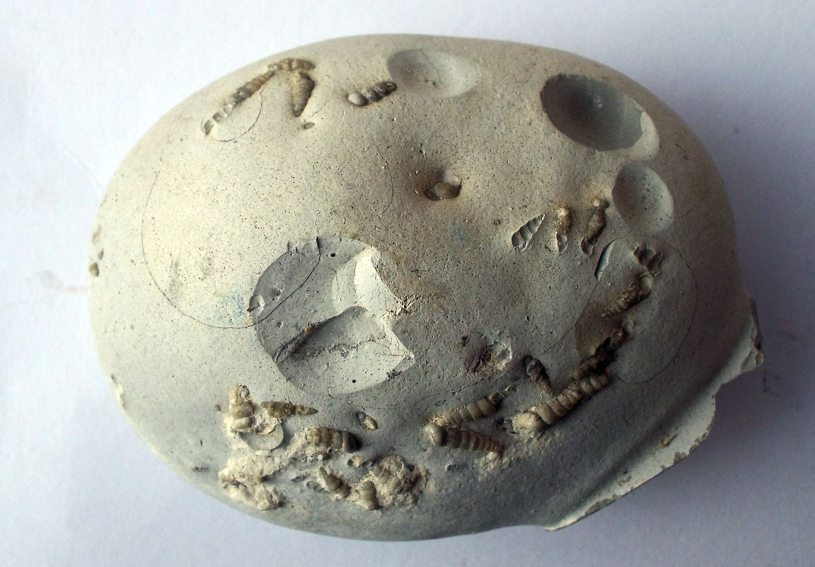 Ópalo
4 x 5 cm
(Autor: Cristalino)