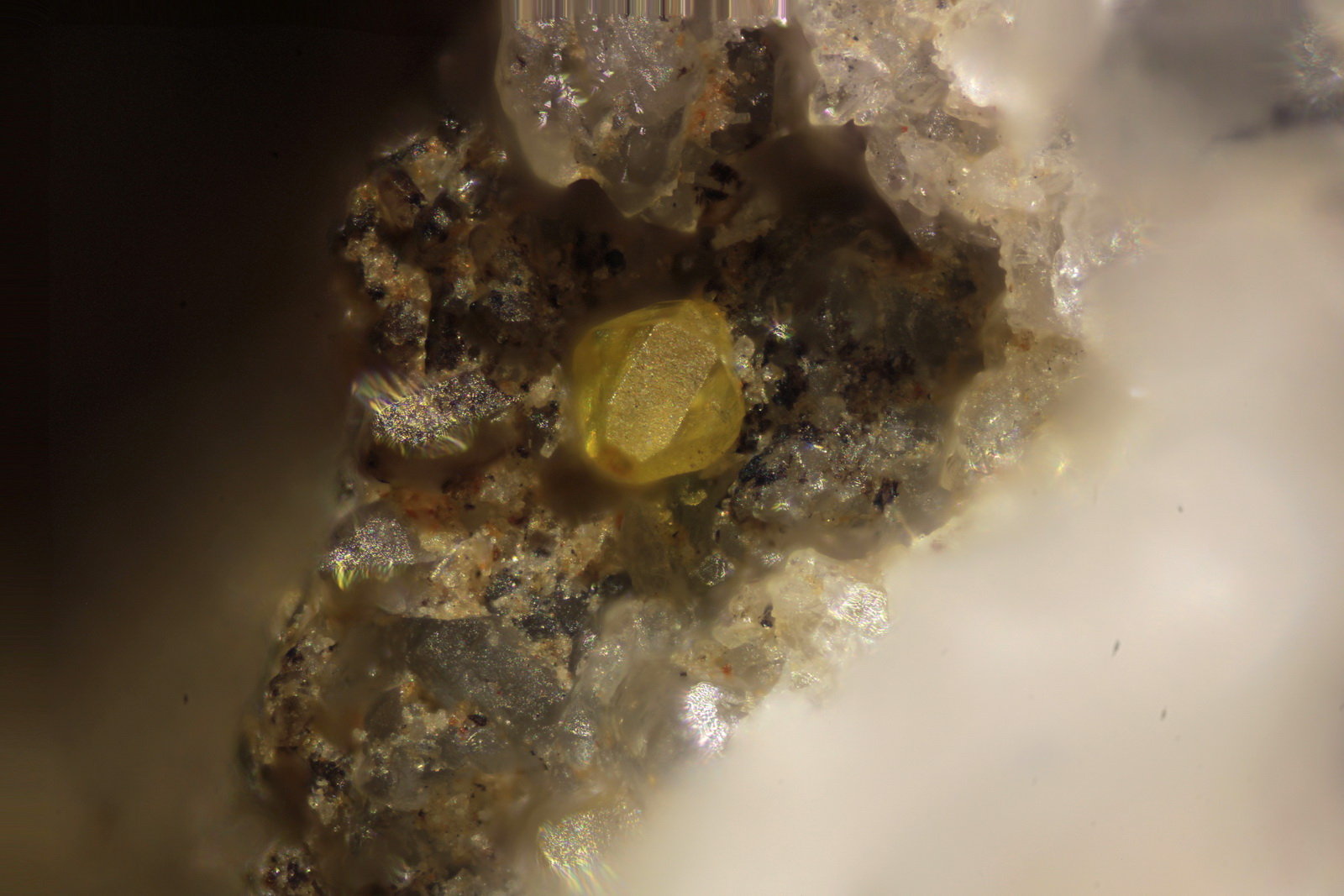 Wulfenita
Cristal 0,2 mm
(Autor: Jorgina-Agusti-Màrius)