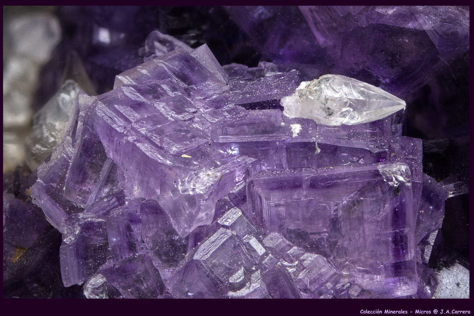 Fluorita, Calcita
FoV: 20 x 12 mm
(Autor: Jose Angel Carrero)