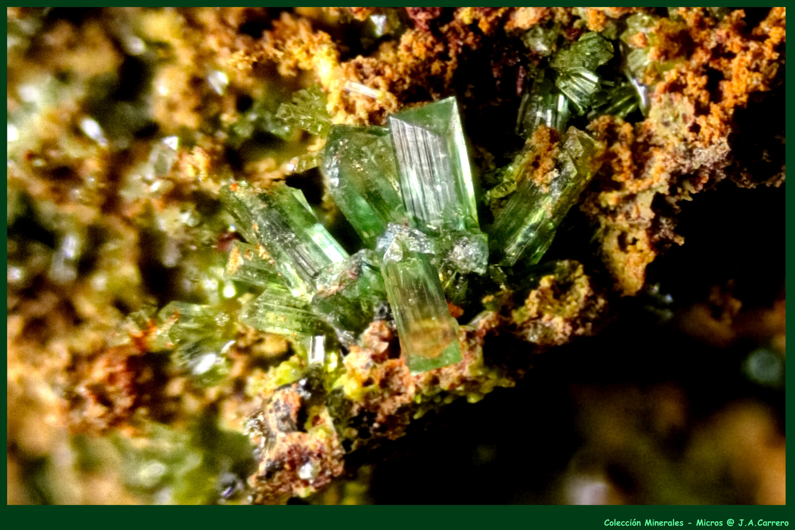 Adamita
FoV: 1,5 x 1,1 mm
(Autor: Jose Angel Carrero)
