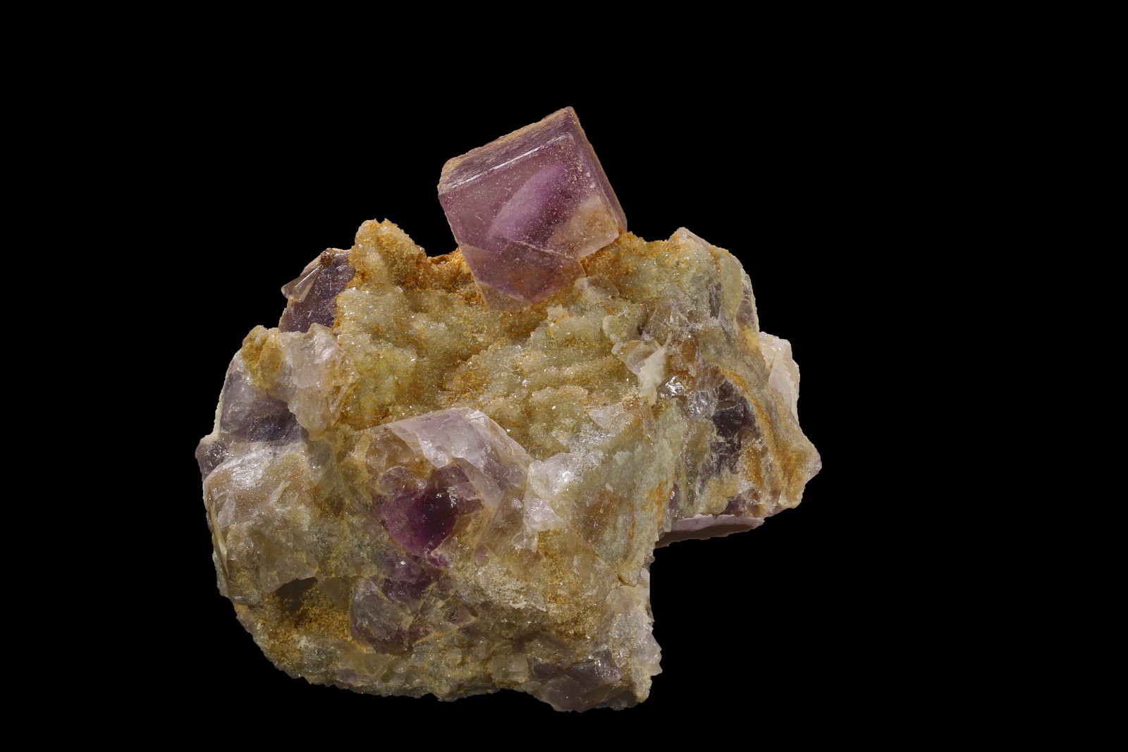 Fluorita
2.5 x 2.5 cm
(Autor: Jorgina-Agusti-Màrius)