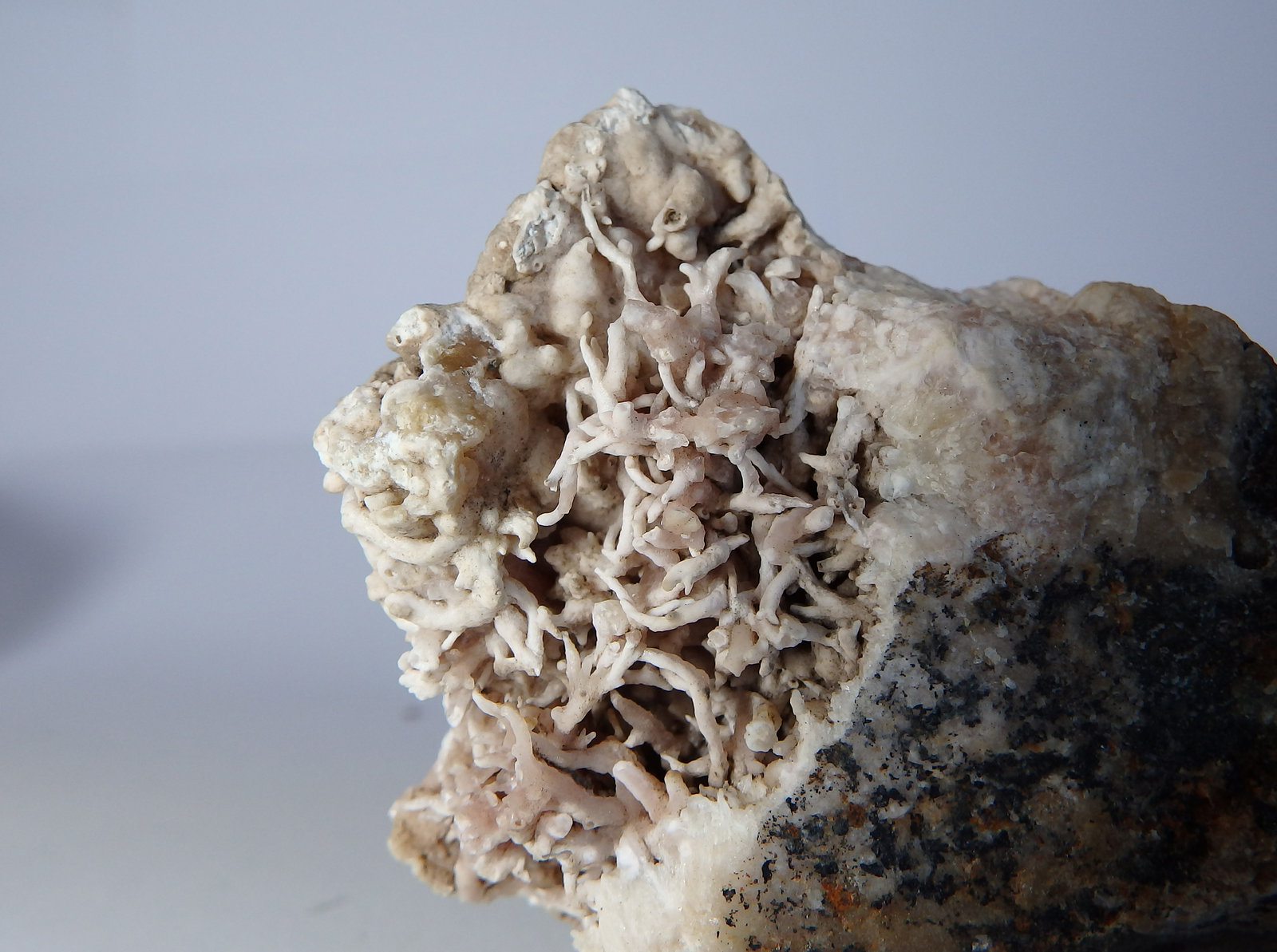 Aragonito
Zona mineralizada 3,9 x 3 cm
(Autor: heat00)