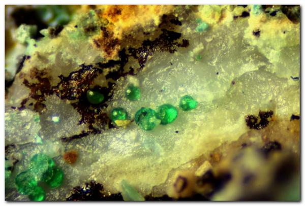 Conicalcita.
Encuadre 2 mm.
(Autor: Rafa Muñoz(mineralvarado))