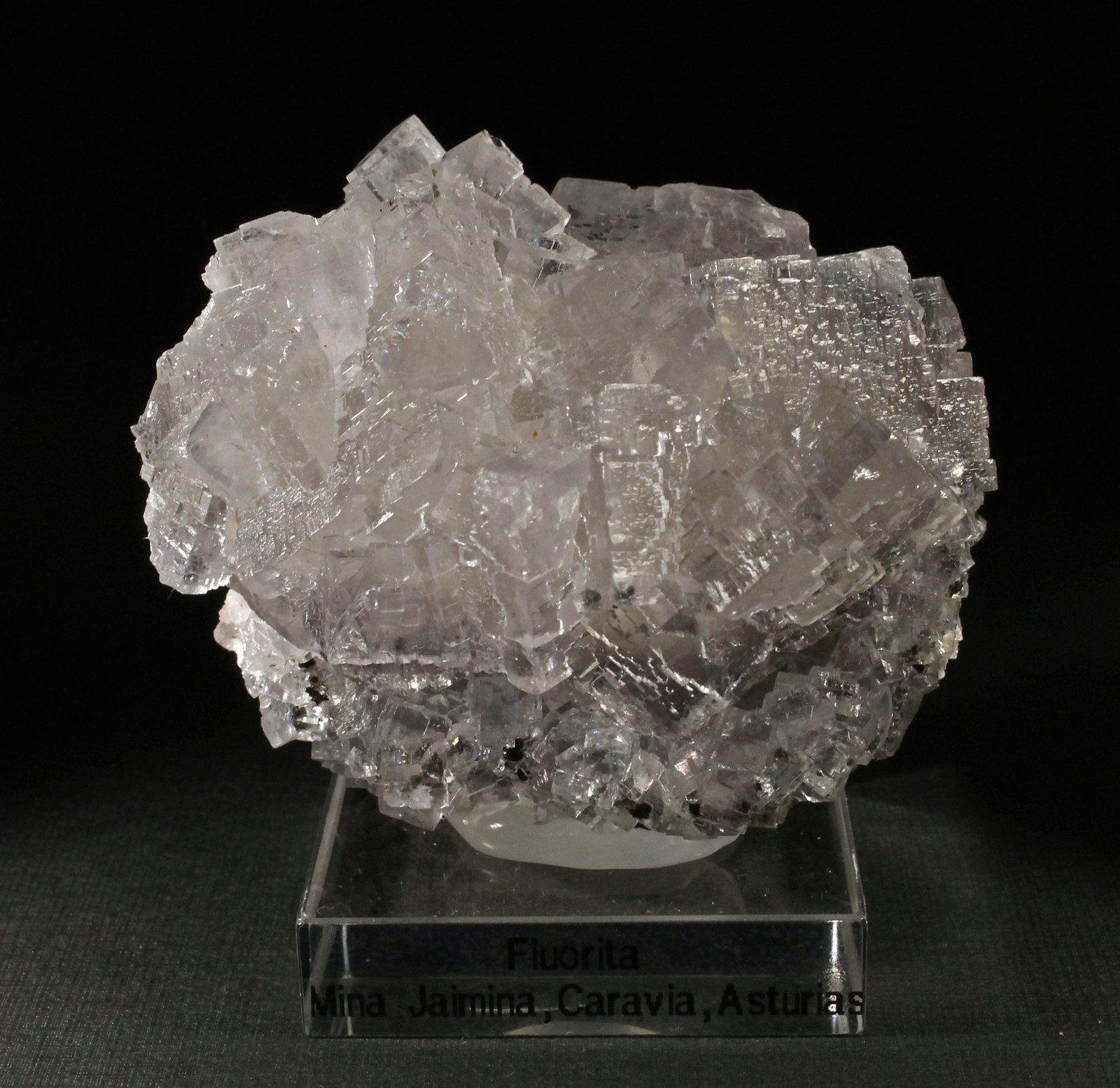 Fluorita
6 x 5 cm. (Cristal mayor: 2 cm).
(Autor: Darío Menéndez)