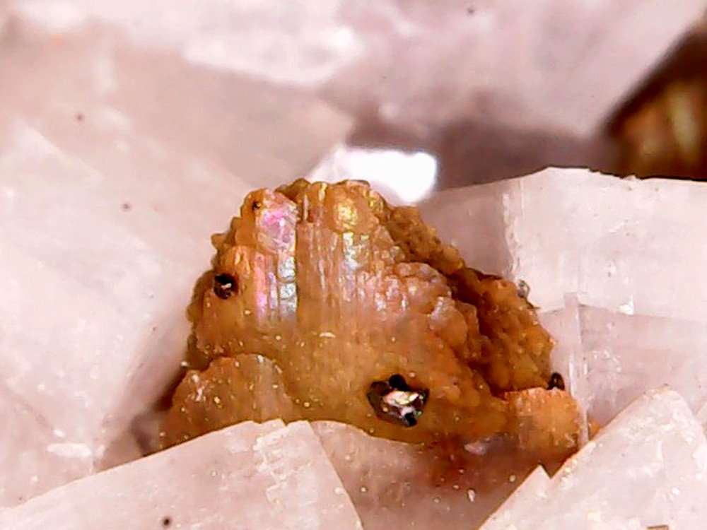 Nacrita, Calcopirita, Dolomita
1cm
(Autor: Obsi)