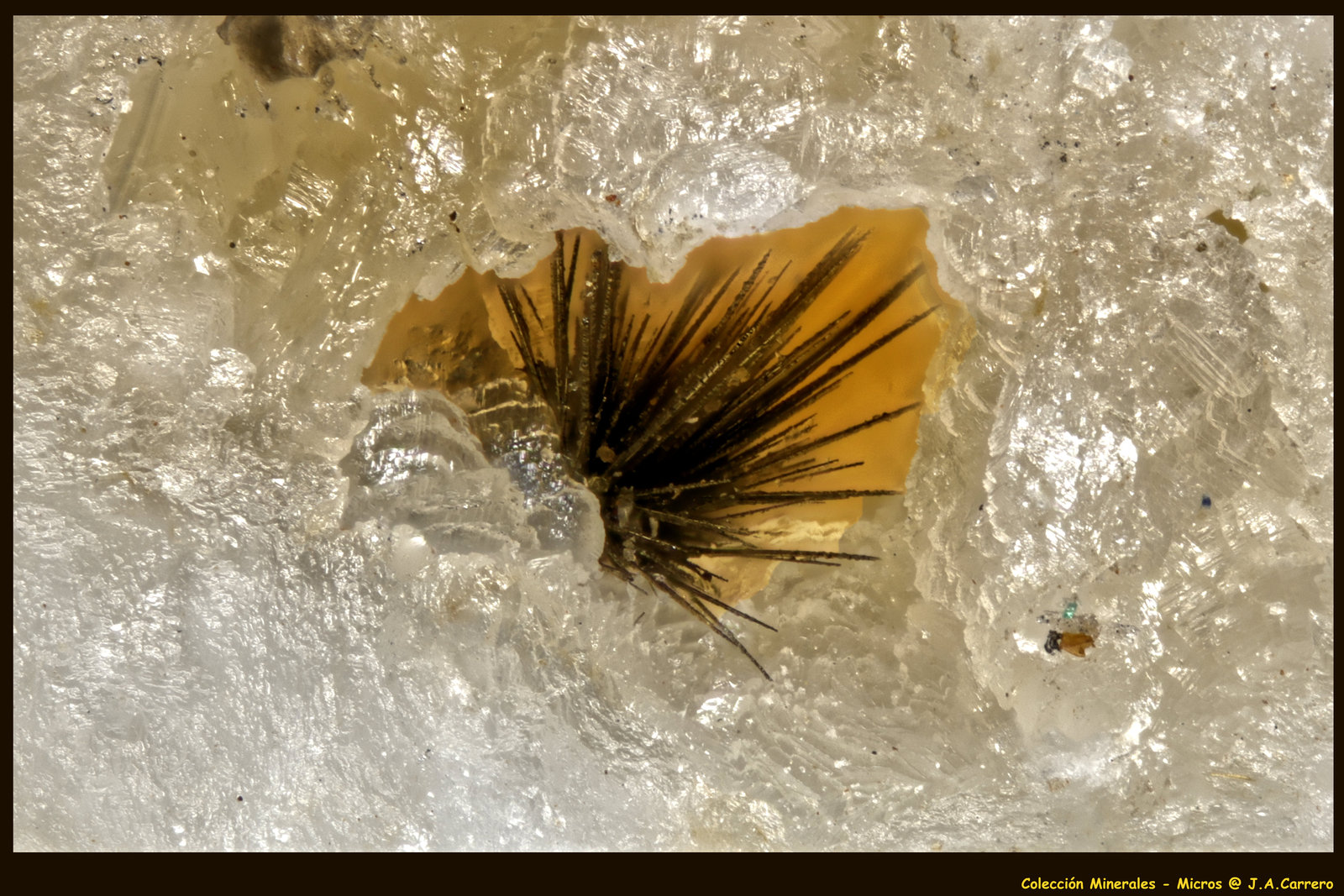 Millerita
FoV: 1,2 x 0,7 mm
(Autor: Jose Angel Carrero)