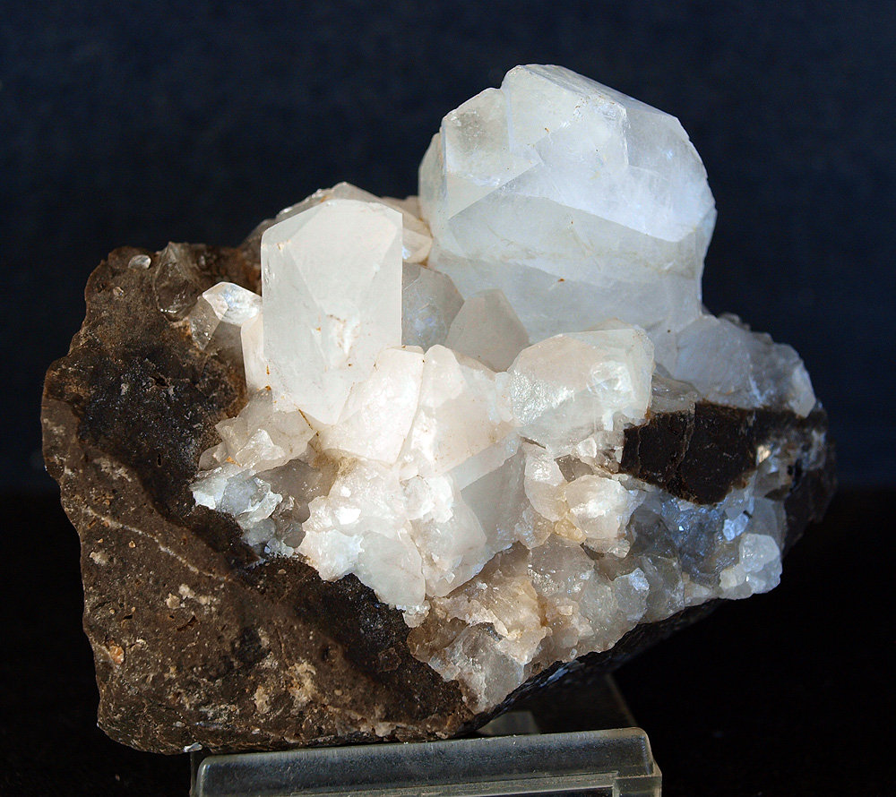 Celestina
7 x 5 cm
(Autor: Pedro Antonio)