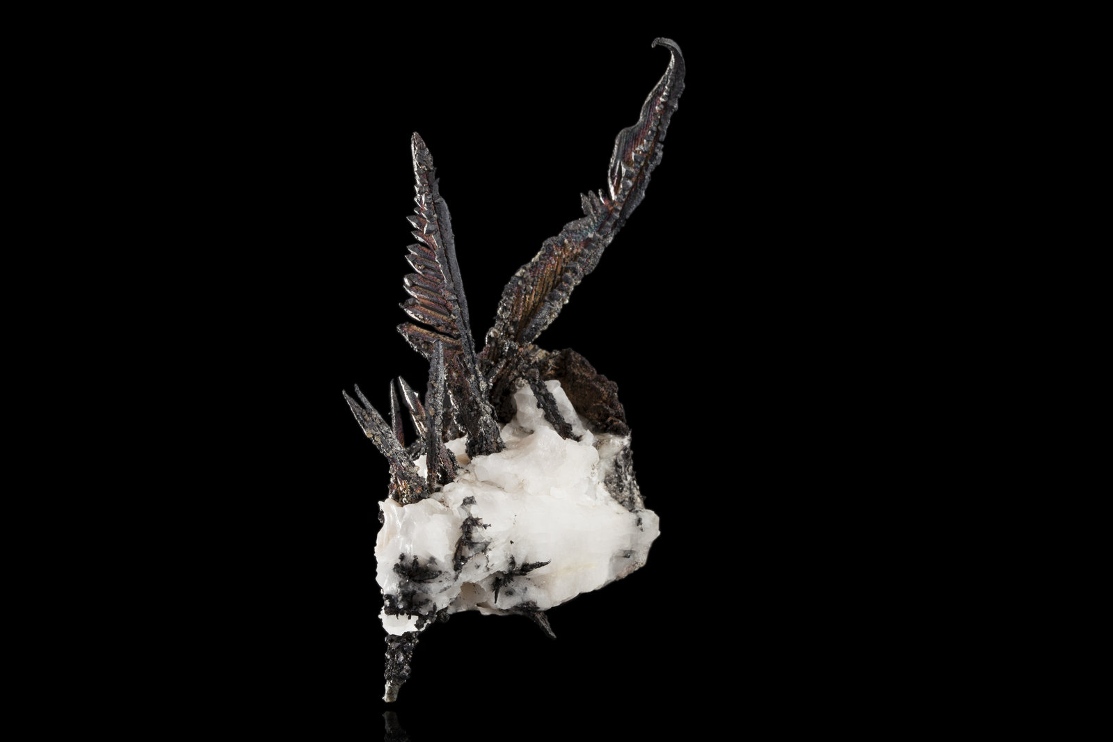 Plata nativa con Calcita
8,0 x 3,5 x 7,0 cm
(Autor: Museo MIM)