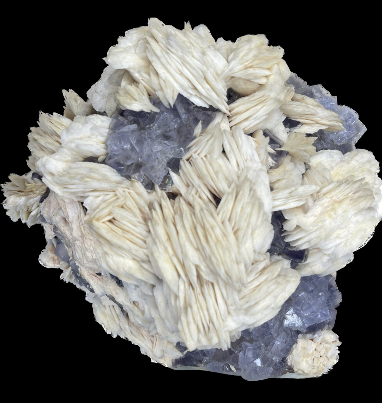 Fluorita y Barita
16x14cm
(Autor: castrominerals)