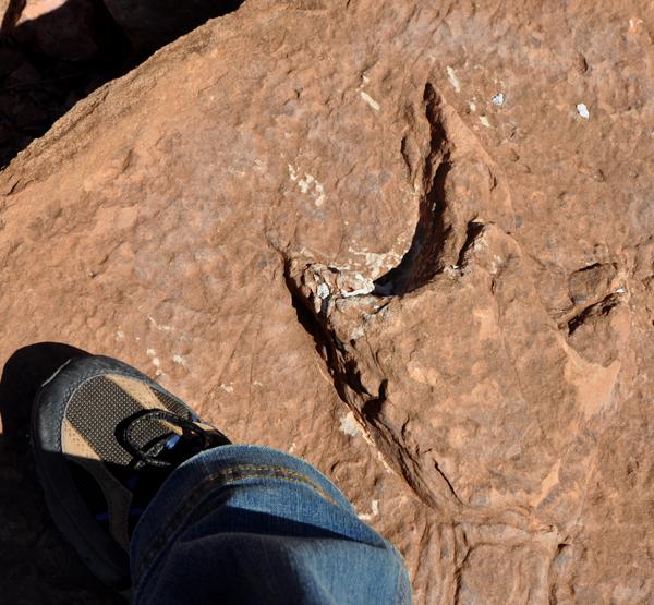 (Autor: Josele)