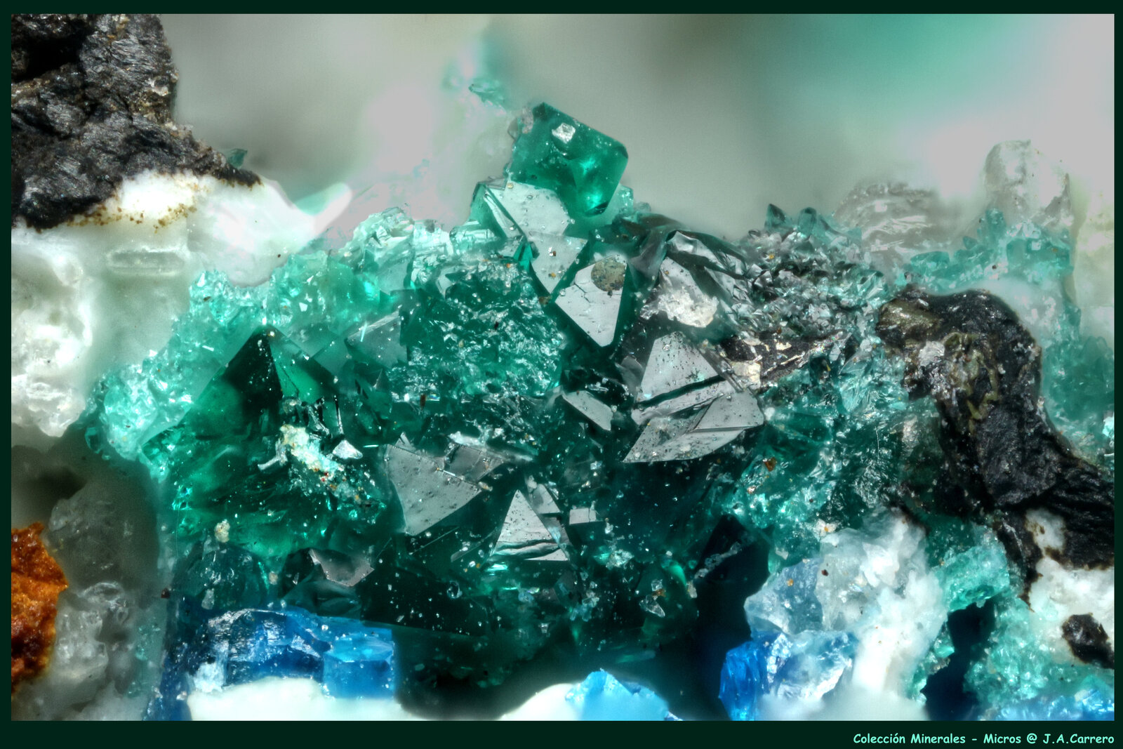 Herbertsmithita
FoV: 1,5 x 1,1
(Autor: Jose Angel Carrero)
