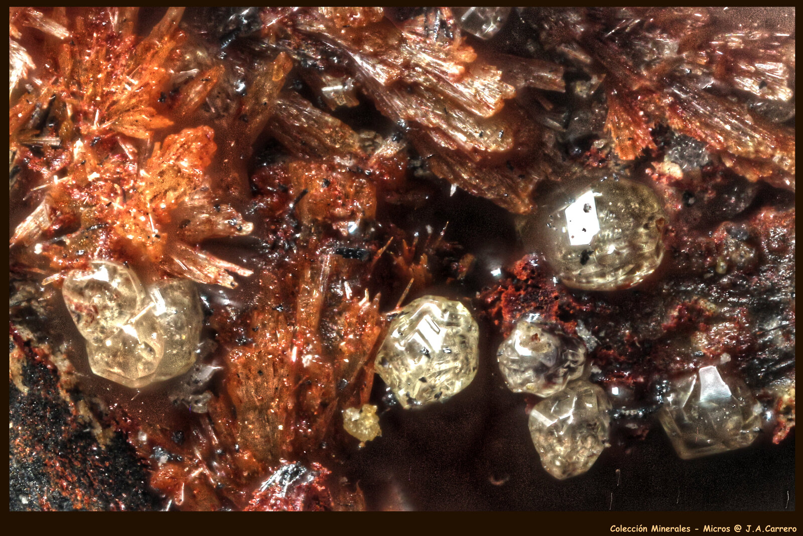 Klebelsbergita Azufre nativo
FoV: 1 x 0,7 mm
(Autor: Jose Angel Carrero)