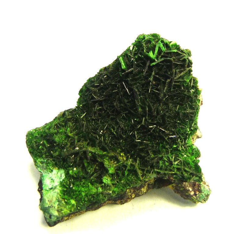 Torbernita.
60x50 mm.
(Autor: Jesus Franquesa Baucells)