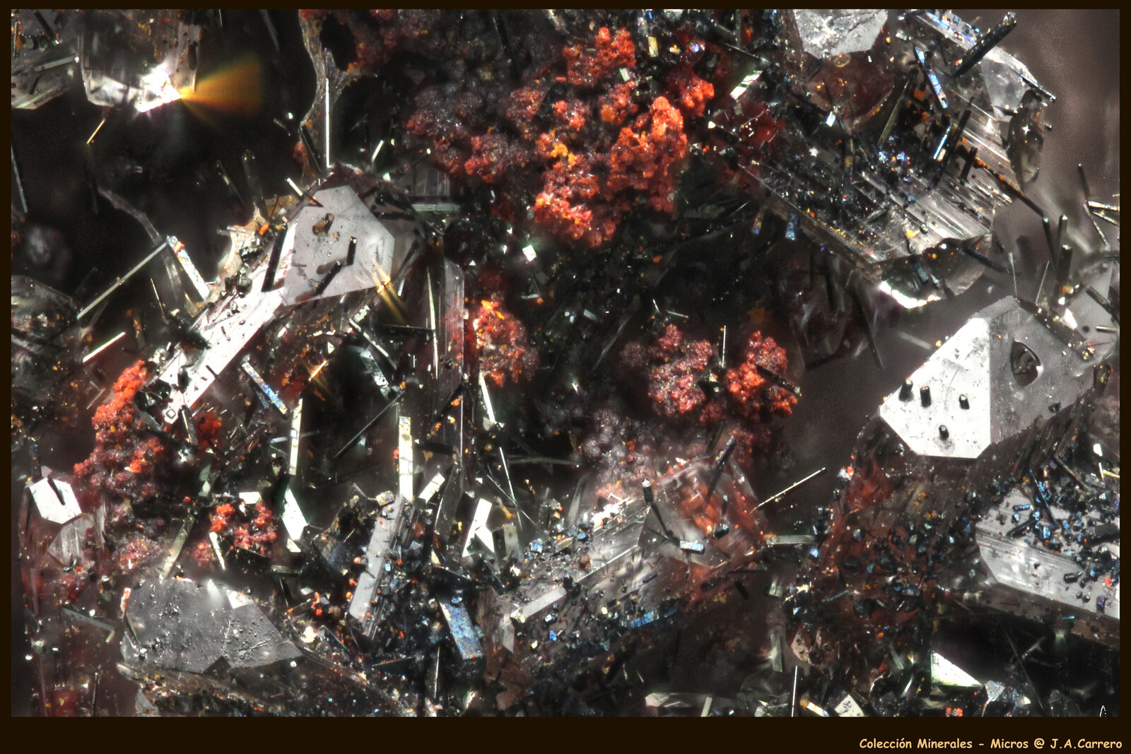 Plattnerita, Cuarzo, Hemimorfita
FoV: 1,5 x 1 mm
(Autor: Jose Angel Carrero)