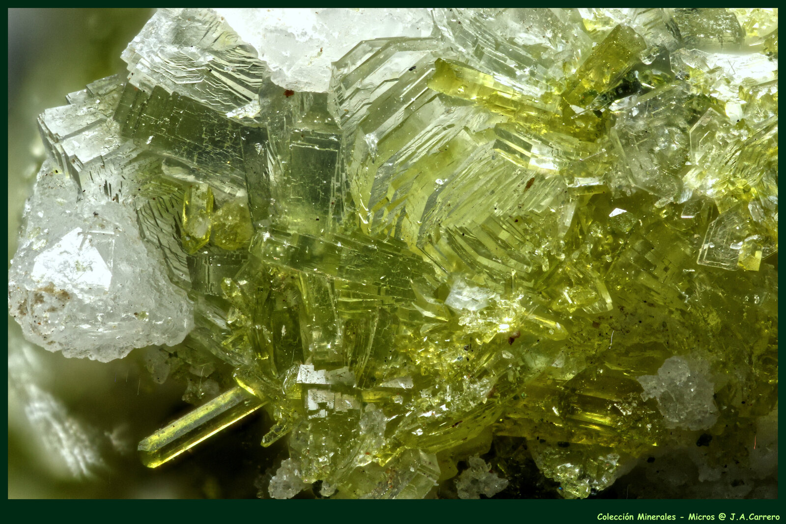 Prehnita, Epidota
Valle Formazza, Valle Ossola, Provincia Verbano-Cusio-Ossola, Piamonte (Piemonte), Italia
FoV: 2,5 x 1,8 mm
(Autor: Jose Angel Carrero)