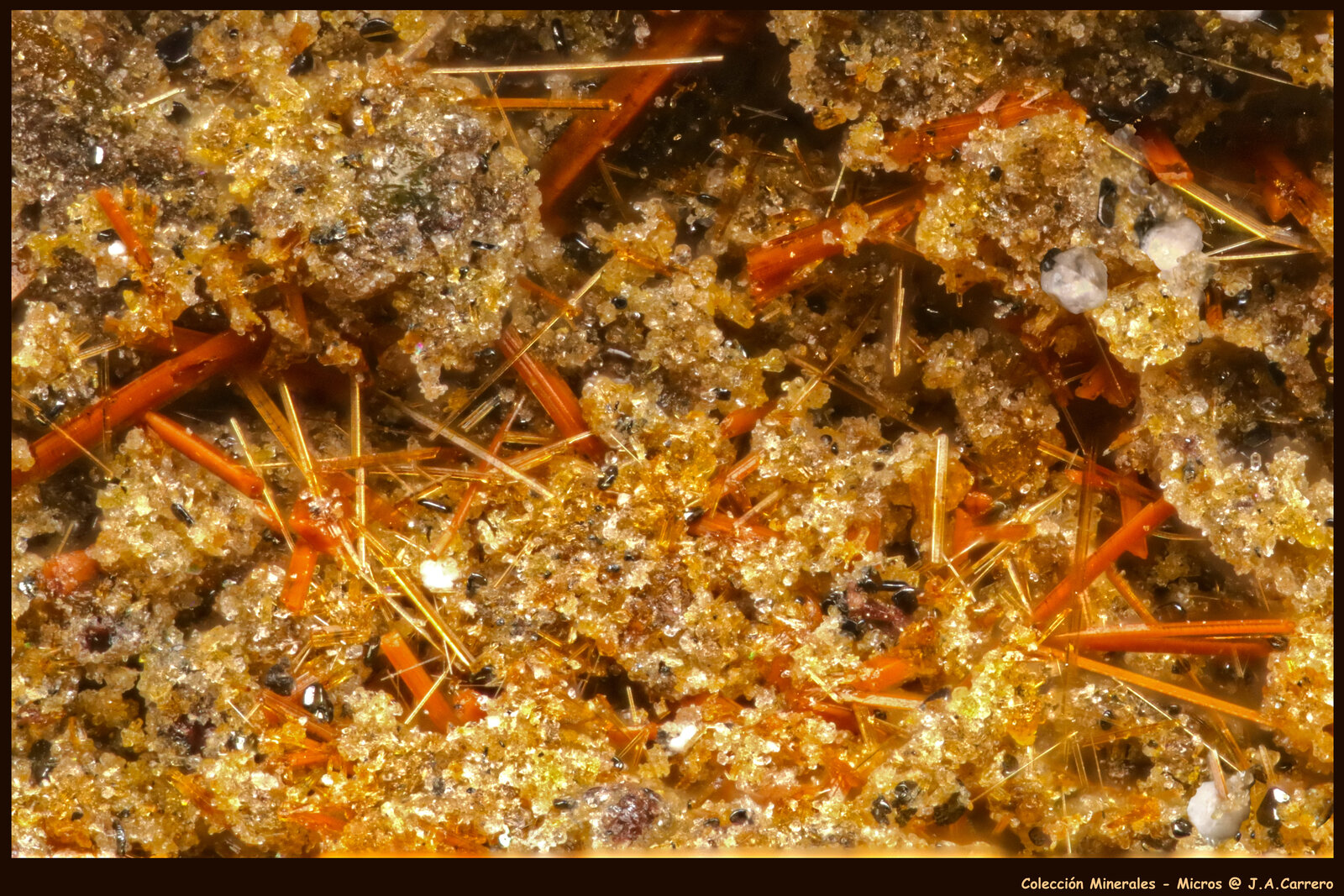 Anfibol (Supergrupo)
FoV: 1,5 x 1,1 mm
(Autor: Jose Angel Carrero)