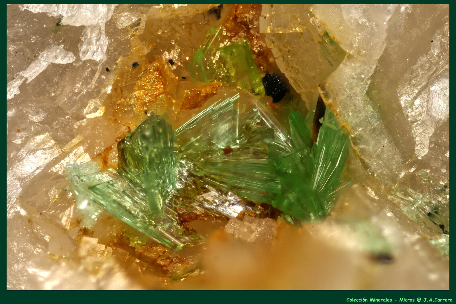 Mina Km-3, Lavrion, Distrito minero Lavrion, Prefectura Attikí (Attica), Grecia
FoV: 1,4 x 0,9 mm
(Autor: Jose Angel Carrero)
