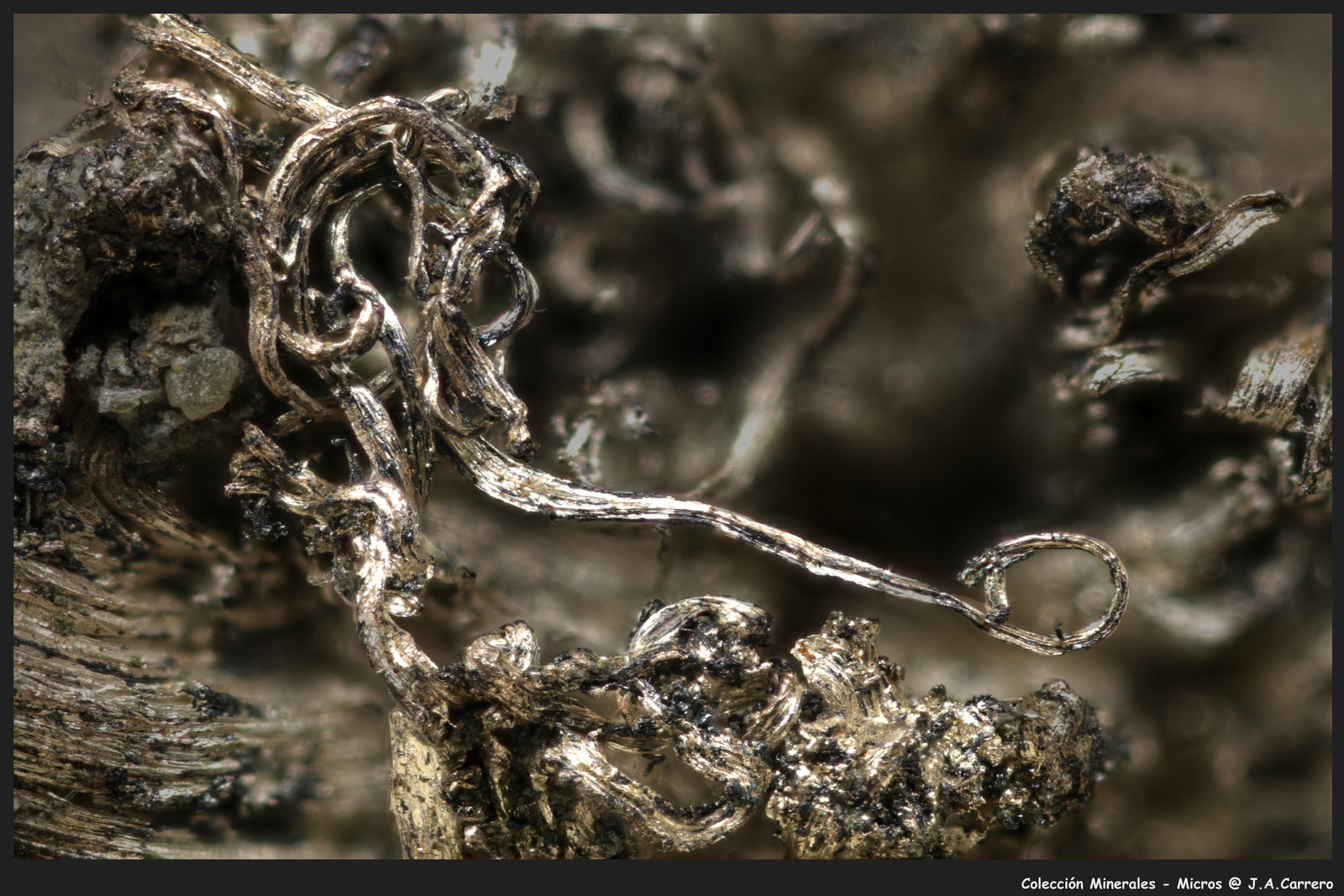 Plata
FoV 1,2 x 0,8 mm
(Autor: Jose Angel Carrero)