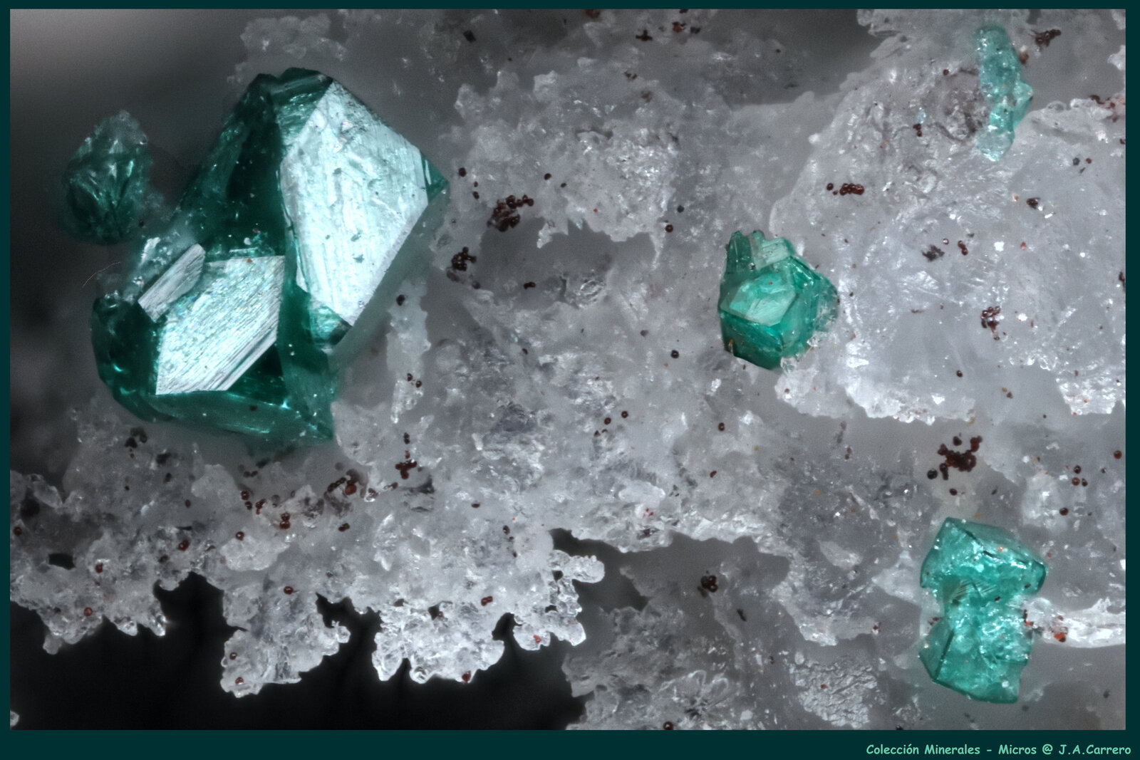 Clinoatacamita
FoV: 1,5 x 0,9 mm
(Autor: Jose Angel Carrero)