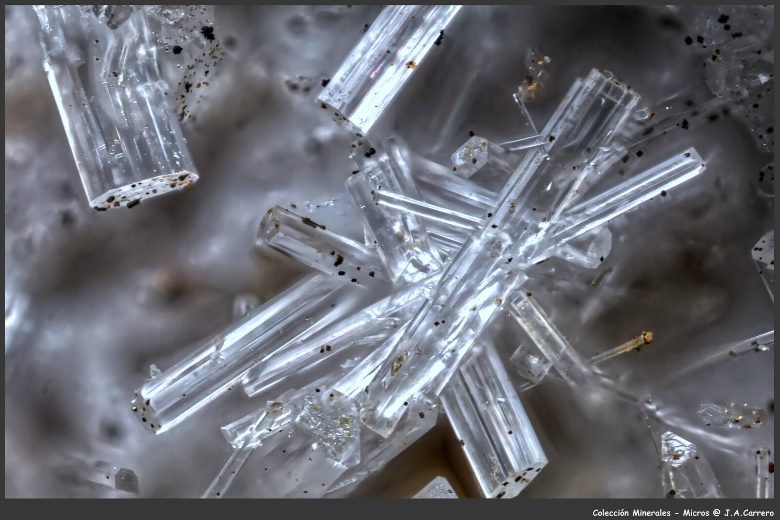 Dawsonita
FoV: 1,2 x 0,8 mm
(Autor: Jose Angel Carrero)