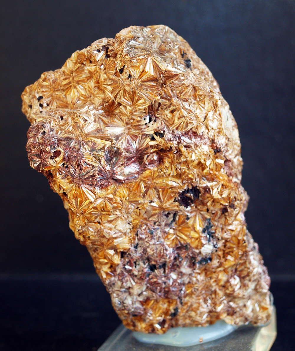 Astrofilita
8.5 x 5 cm
(Autor: Pedro Antonio)