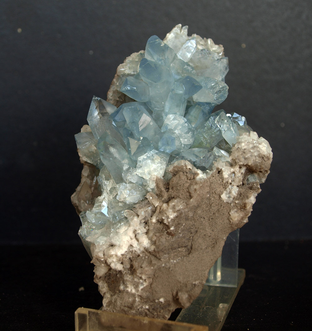 Celestina
10 x 6 cm
(Autor: Pedro Antonio)