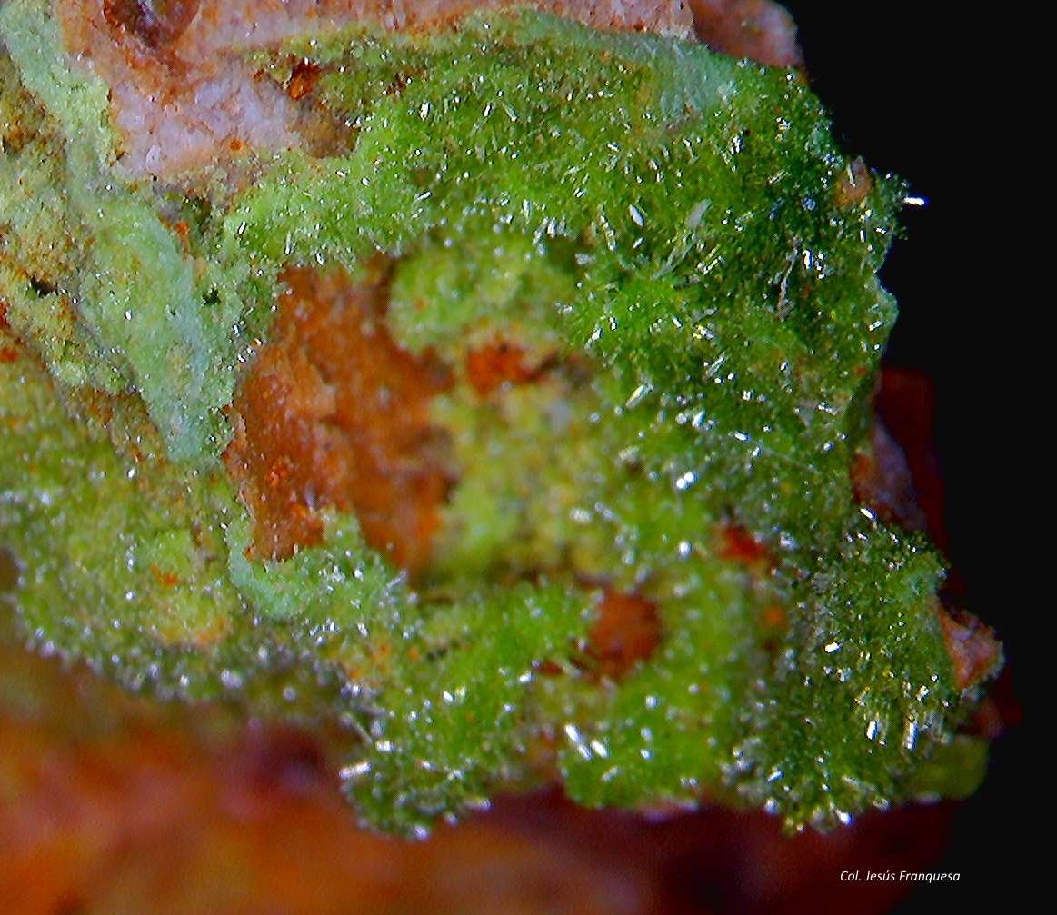 Piromorfita.
3´044 x 2´614 mm.
(Autor: Jesus Franquesa Baucells)