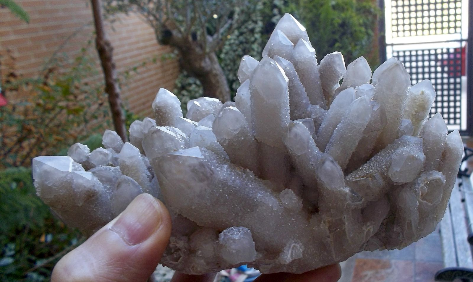 Cuarzo
16 cm de ancho x 8 cm de fondo (altura variable, el cristal más largo mide 6 cm)
(Autor: Cristalino)