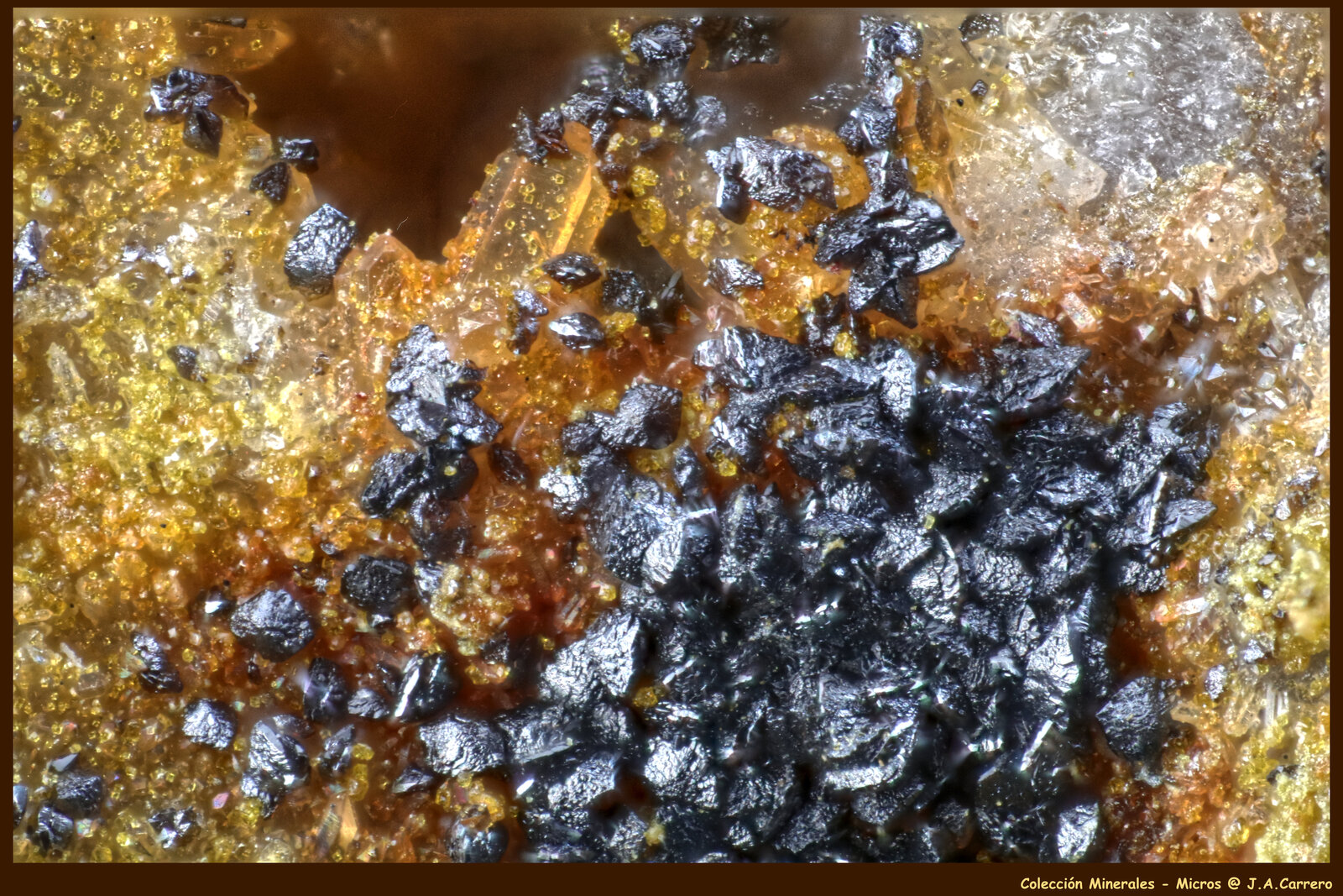 Mottramita, Cuarzo
Sol Mine, Cerro de los Guardias, Rodalquilar, Níjar, Comarca Metropolitana de Almería, Almería, Andalusia, Spain
FoV: 1,5 x 1 mm
(Autor: Jose Angel Carrero)
