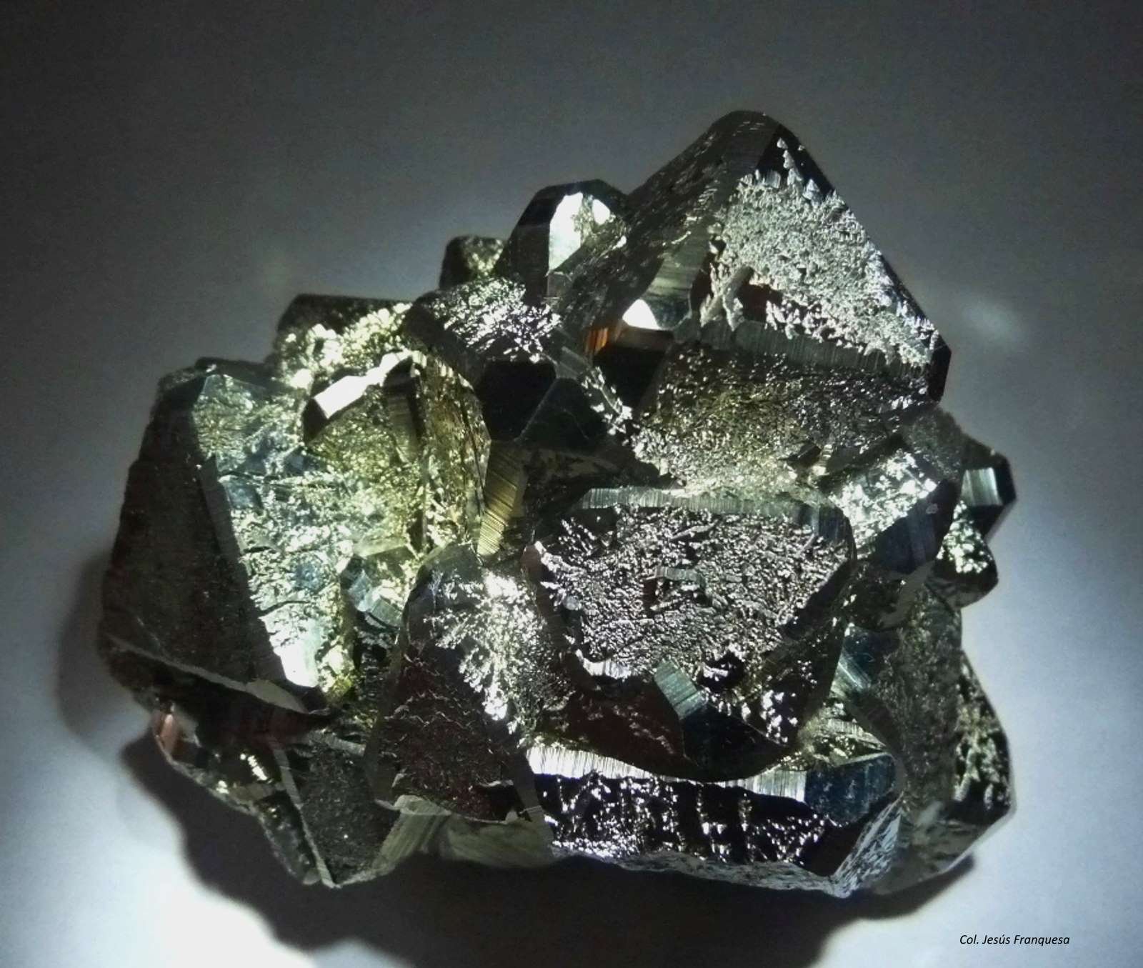 Pirita.
80x65 mm.
(Autor: Jesus Franquesa Baucells)