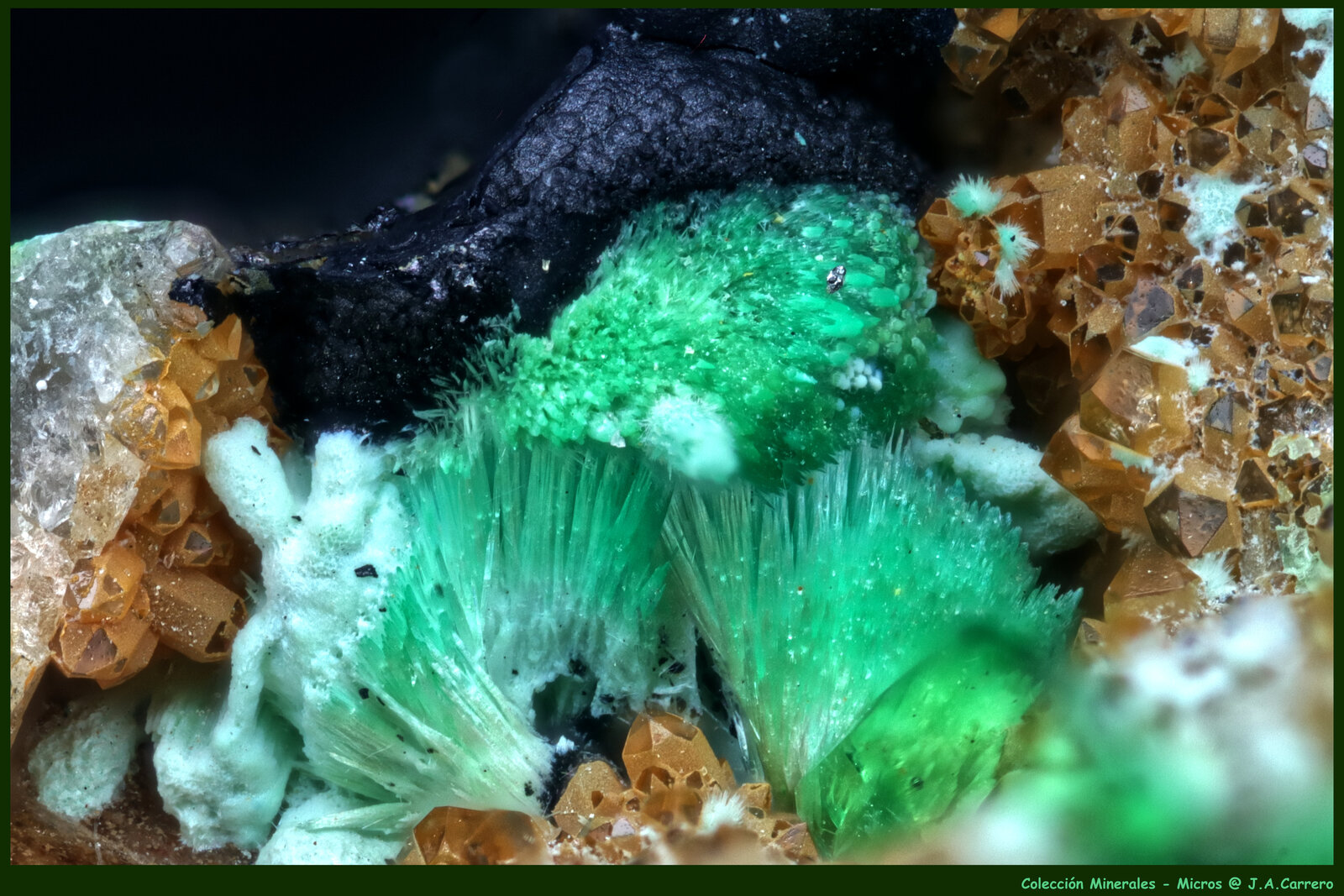Mixita
FoV: 1,8 x 1,2 mm
(Autor: Jose Angel Carrero)