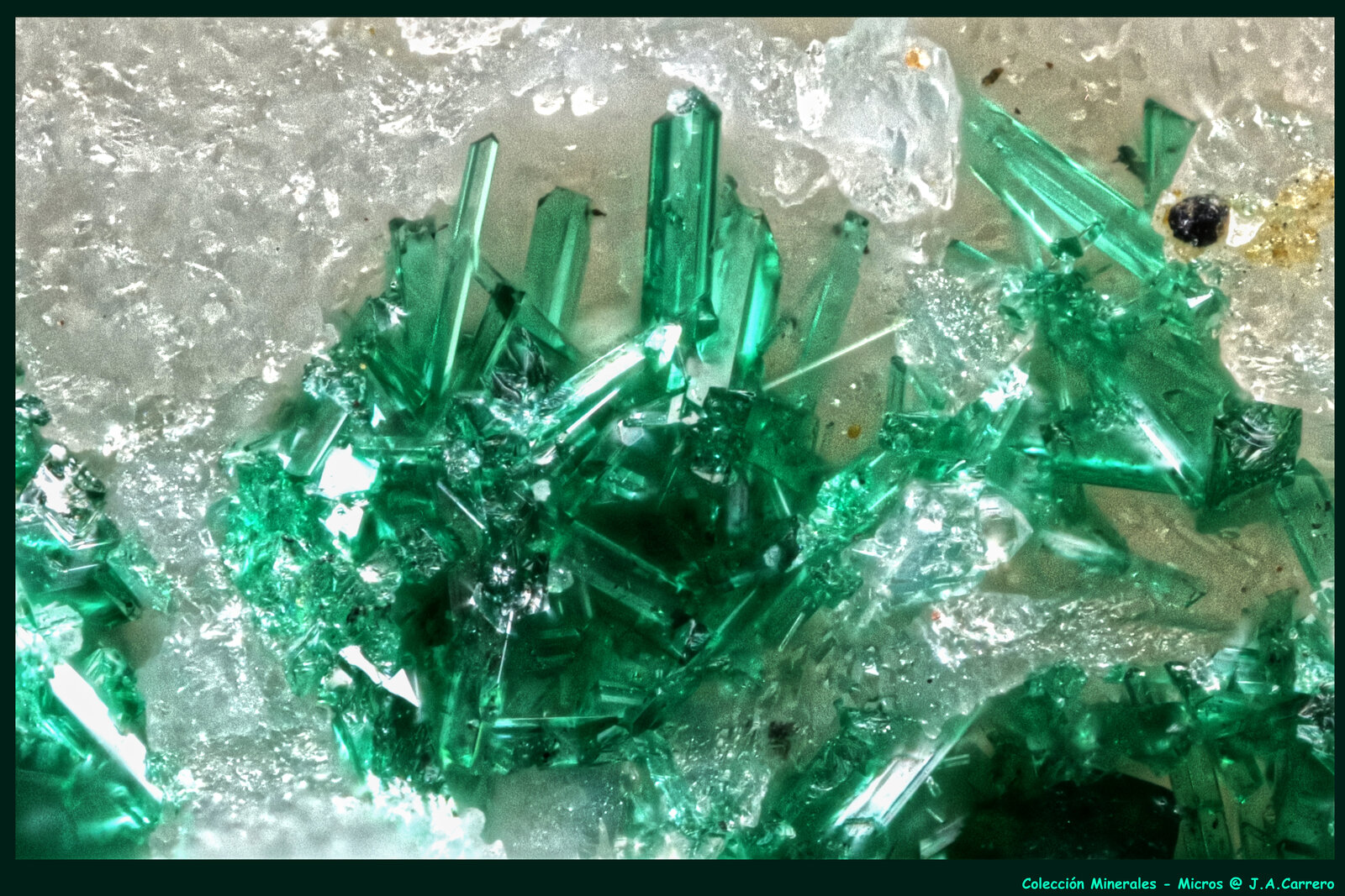 Atacamita
Sol Mine, Cerro de los Guardias, Rodalquilar, Níjar, Comarca Metropolitana de Almería, Almería, Andalusia, Spain
FoV: 1,5 x 1 mm
(Autor: Jose Angel Carrero)