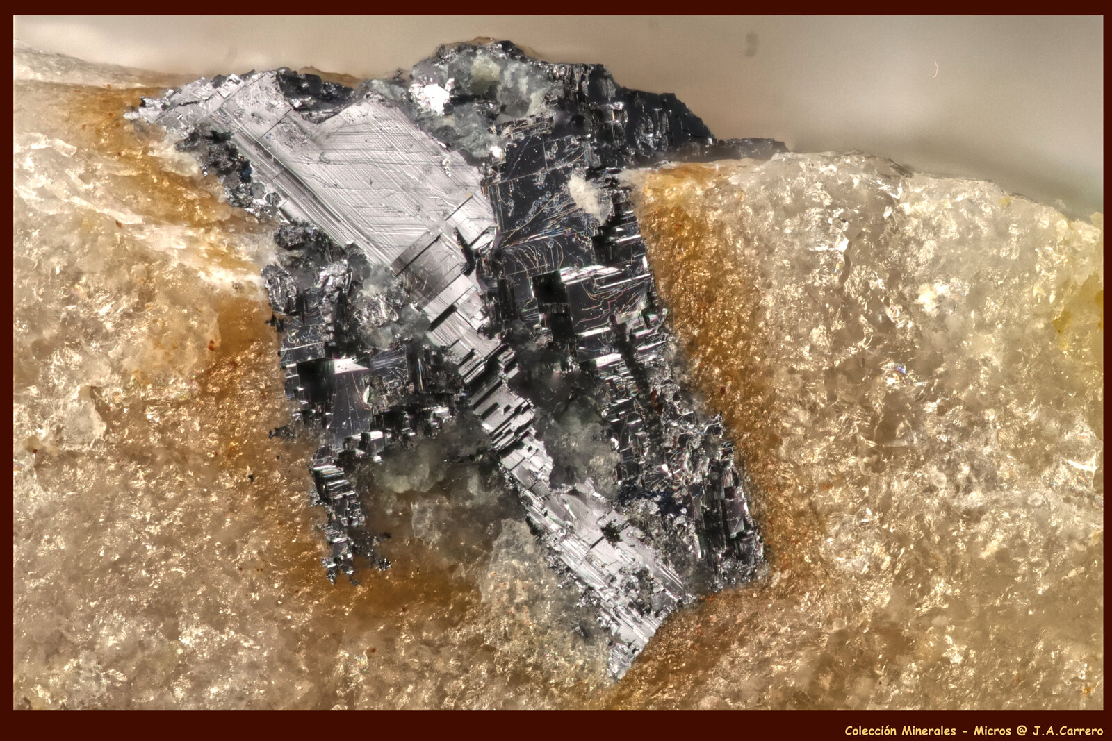Galena
FoV: 2,5 x 1,8 mm
(Autor: Jose Angel Carrero)