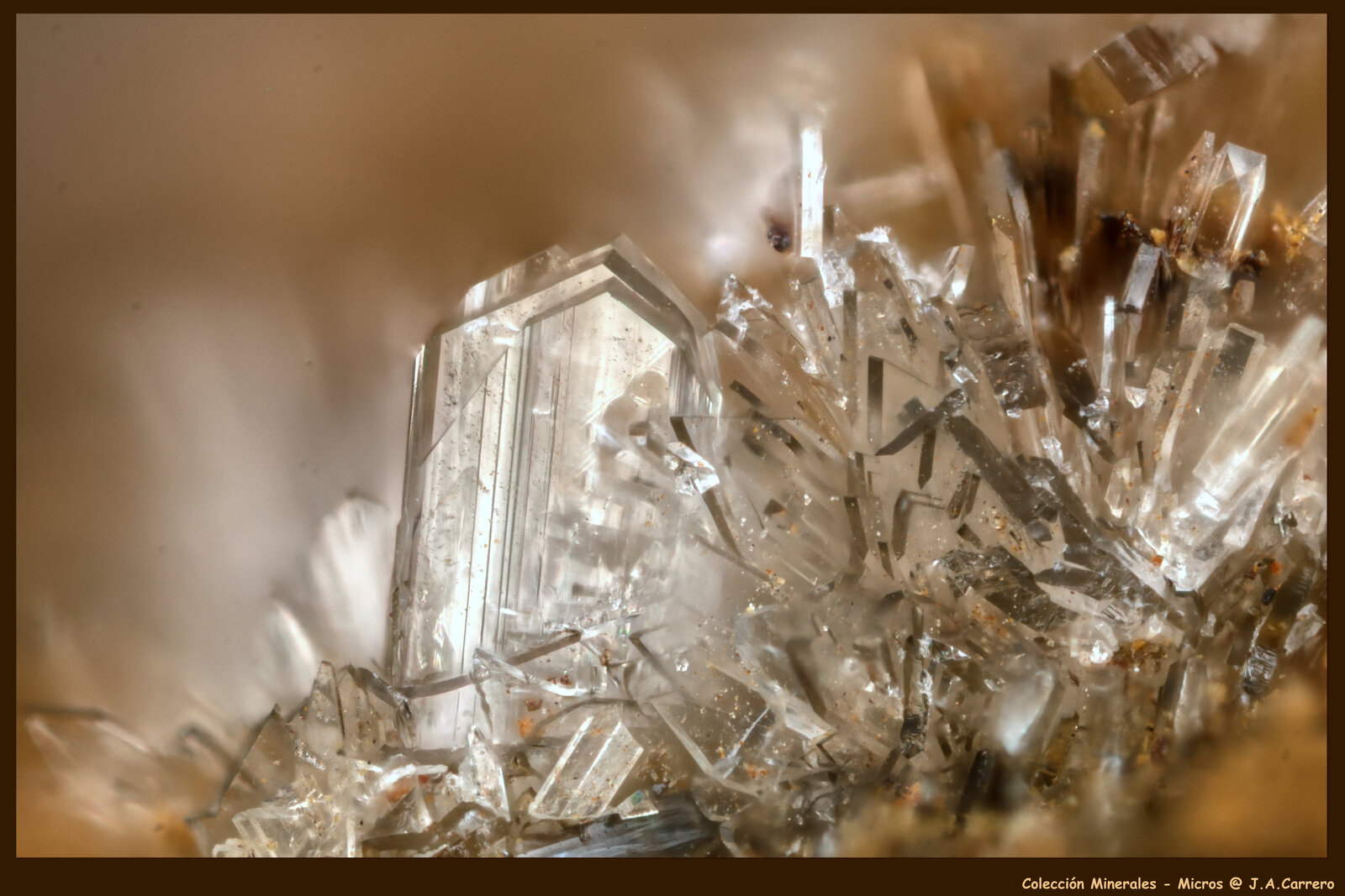 Hemimorfita
FoV: 1 x 0,6 mm
(Autor: Jose Angel Carrero)