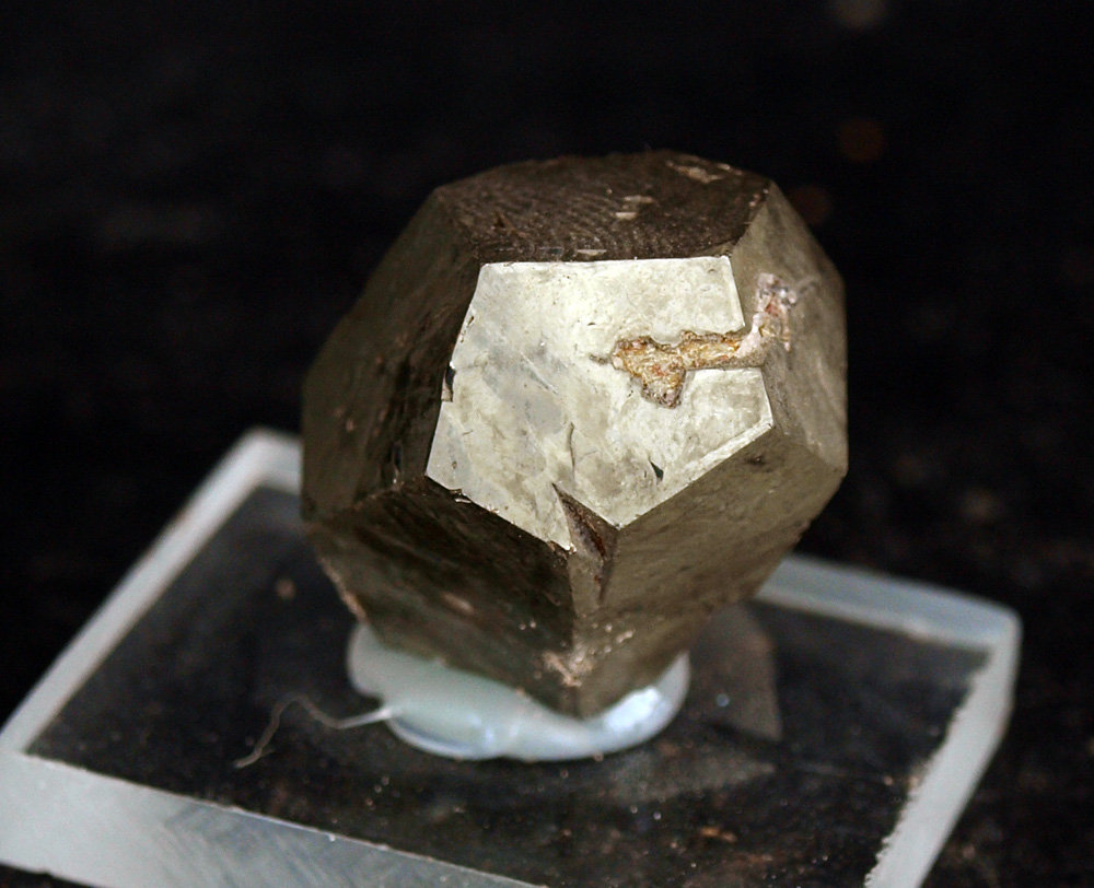 Pirita
1.5 x 2 cm
(Autor: Pedro Antonio)